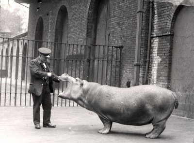 A photograph of Ernie Bowman and Bobbie at London Zoo, 1923 by Frederick William Bond